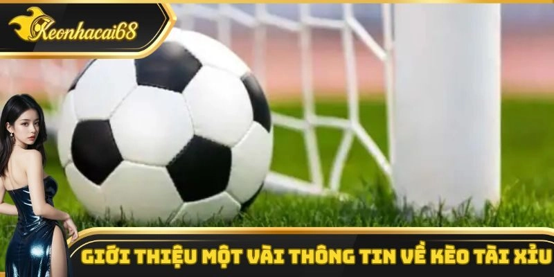Một vài thông tin cơ bản cần nắm vững kèo tài xỉu trong bóng đá